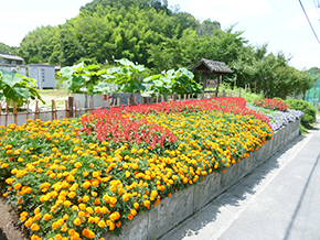 古瀬間みのり会