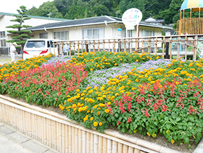 花を楽しむ会