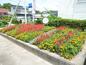 乙部老人クラブ菊石会